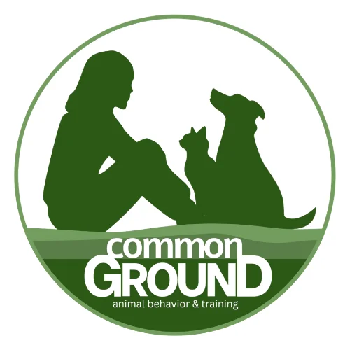 Common Ground logo